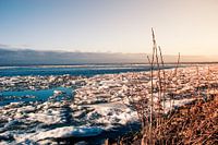 Nederlands Winterlandschap