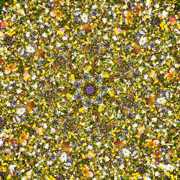 A Bee&#039;s Woodstock von Frans Blok - Fotos, Kunst und weitere Wanddekoration