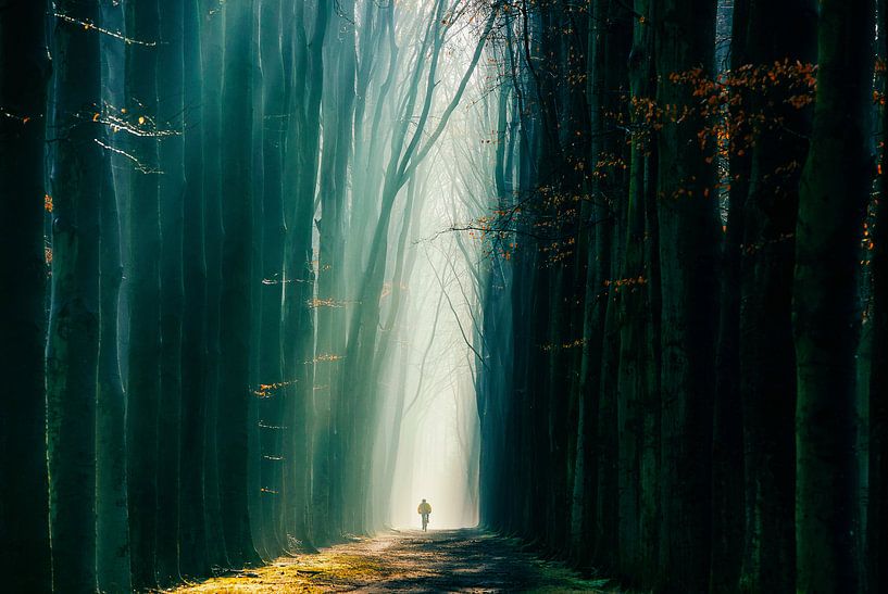 De Fietser par Lars van de Goor