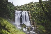 Marokopa Wasserfall Waikato, Neuseeland