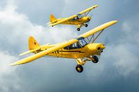Avion Piper Super Cub en formation