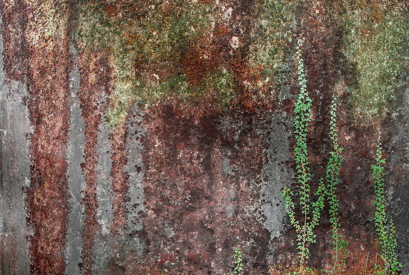 Alte Betonwand Fototapete 7 von Olivier Photography