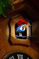 De koekoek en zijn bollenhoed 2.0