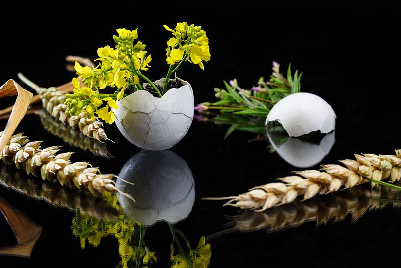 In het begin was het ei par Rolf Pötsch