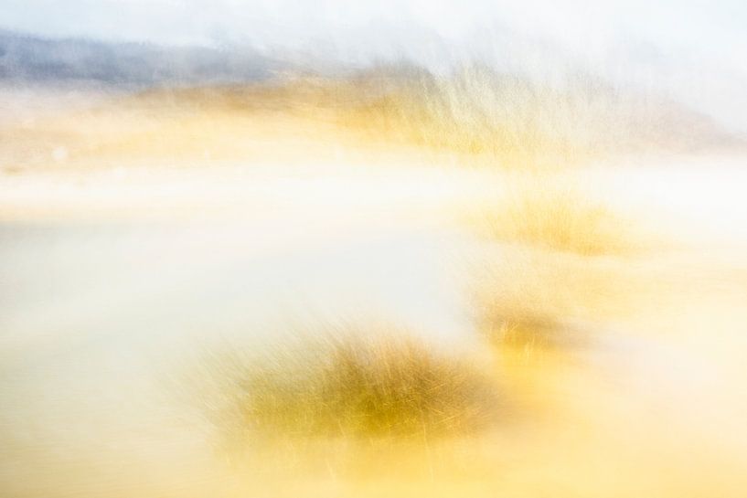 Een kleine poel, ideaal voor abstract werk - 1 van Danny Budts