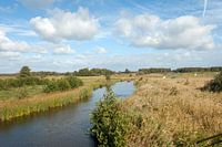 Nationalpark Weerribben-Wieden