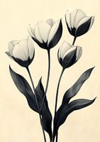 Tulpen