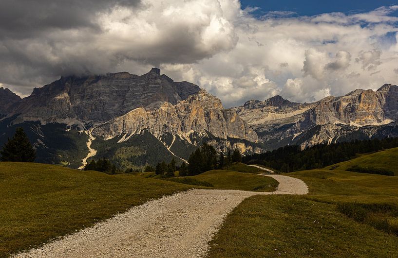 Der Weg in die Berge von Nico Olsthoorn