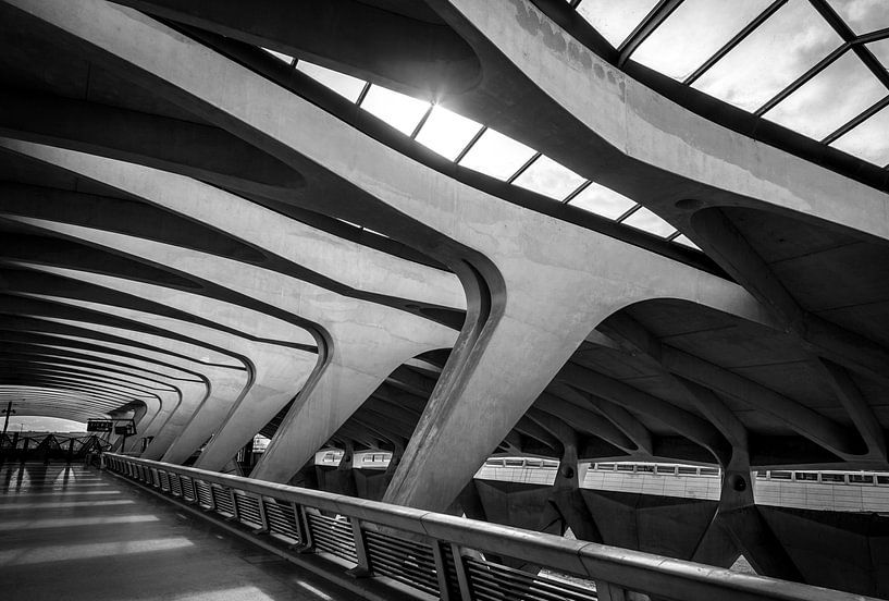 Répétition par Sander van der Werf