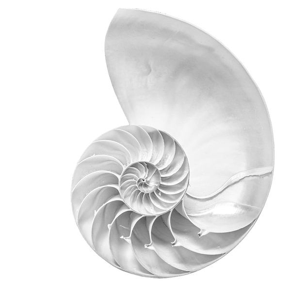 Juwel von Hennie Zeij