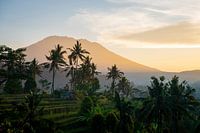 Gunung Agung from Sidemen - sunrise