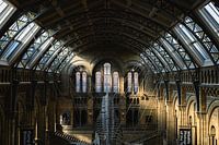 Une belle architecture derrière la baleine bleue