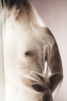 Weibliche Schönheit 1