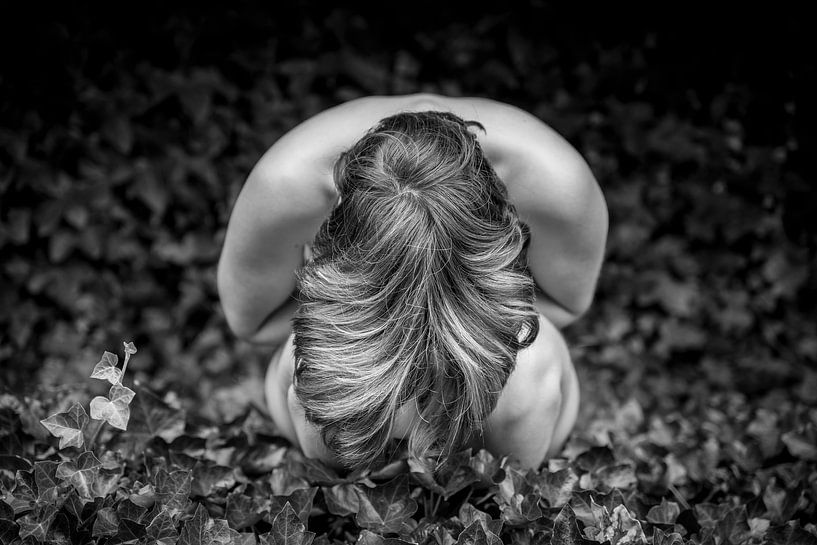 The girl and the leaves von Werner Lerooy
