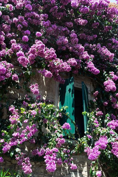 Overgrown by Jaco Verheul