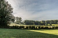 Paysage à Hoeselt (B)