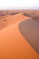 Courbe en dune de sable : les dunes du croissant au Sahara