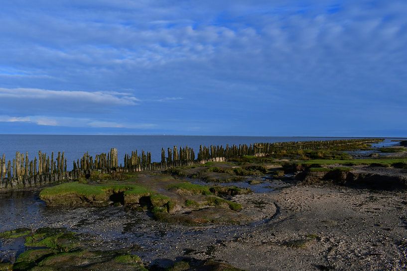 View of the mudflats near Paesens-Moddergat, Friesland by Bernard van Zwol