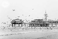 Jetée de Scheveningen