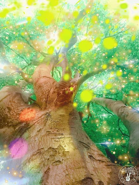 Texas Sun von treesgivepeace.nl