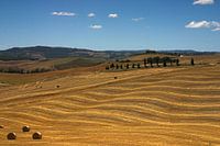 Toskanische Hügellandschaft