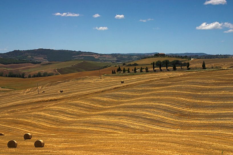 Toskanische Hügellandschaft von Dennis Wierenga