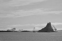 Icebergs dans le brouillard 1