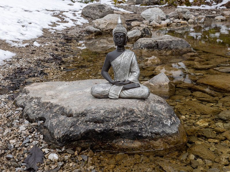 Buddha on a stone by Christina Bauer Photos