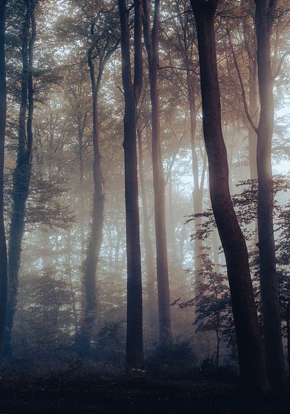 Mariendaal Teil 2 von Tania Perneel