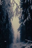 Innsbruck bei Nebel und Schnee