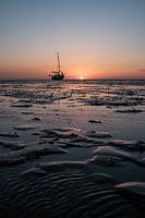 Alleine auf der Welt