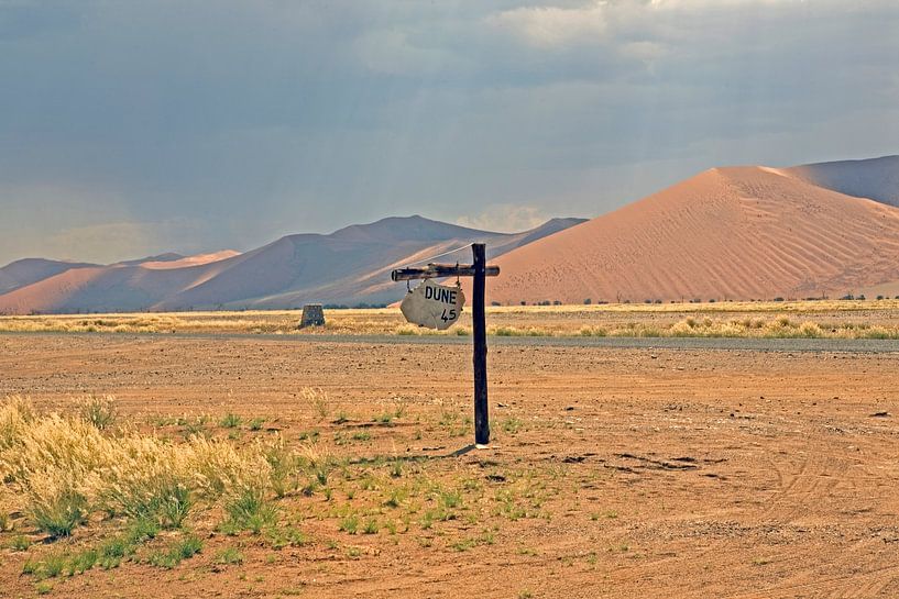 Düne 45 – Wegweiser ins Herz der Wüste von WeltReisender Magazin