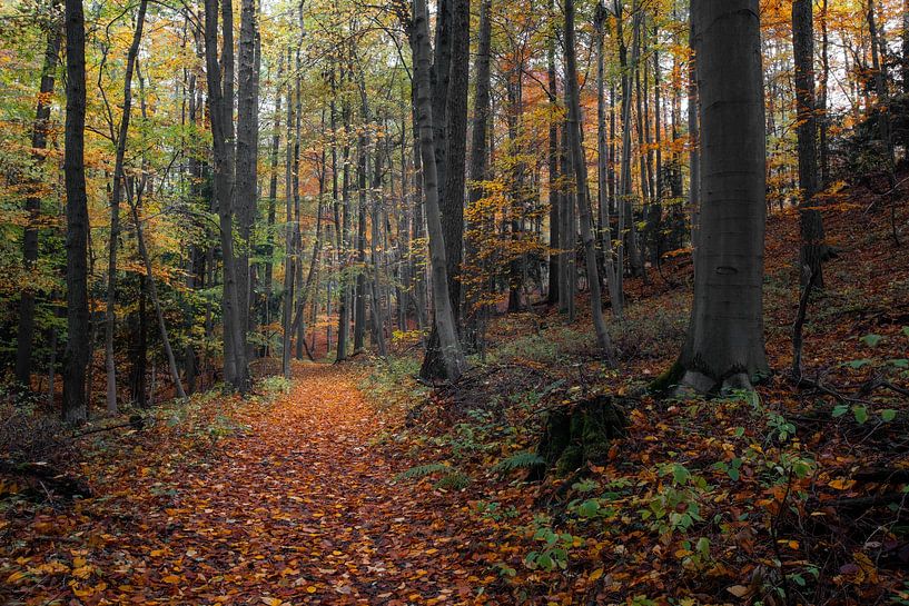 Dormir par Sebastian Petersen