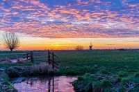 Winter im Polder
