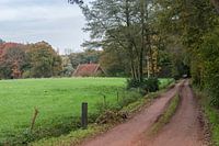 Sandweg durch die Achterhoek-Landschaft