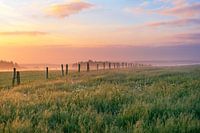 Meadow with fence and pastel colours in the sky