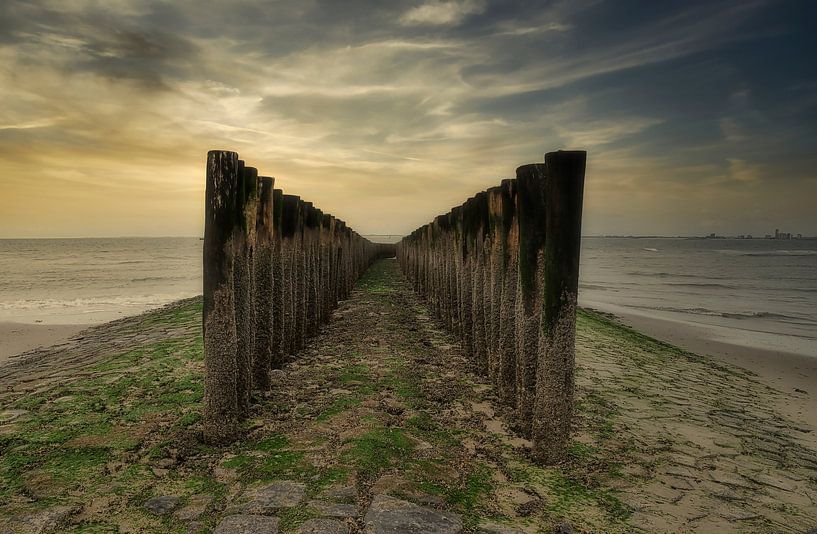 Beach posts at Nieuwvliet-Bad by Ellen Driesse