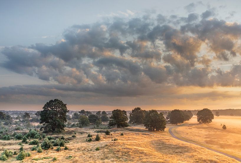Aeckinger sand around sunrise, sunrise, ground fog by Karin Broekhuijsen