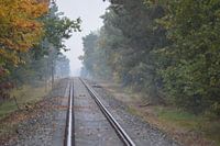  Bahnen verschwindet am Horizont.