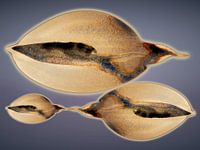 Deep Tidal Night Aqua 986 - Moderne abstrakte Ozean-Nachtszene in tiefem, ruhigem Blau