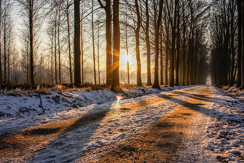 Winterly avenue by Easycopters