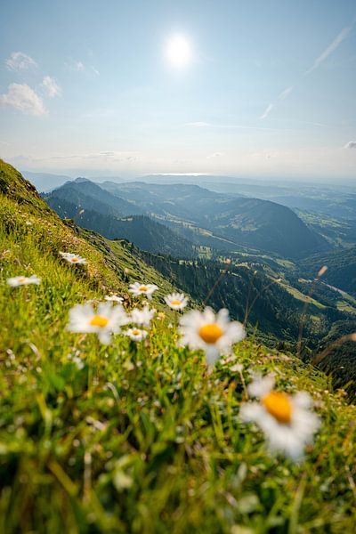 Beautiful sunny summer day on the Hochgrat with a view of Lake Constance by Leo Schindzielorz