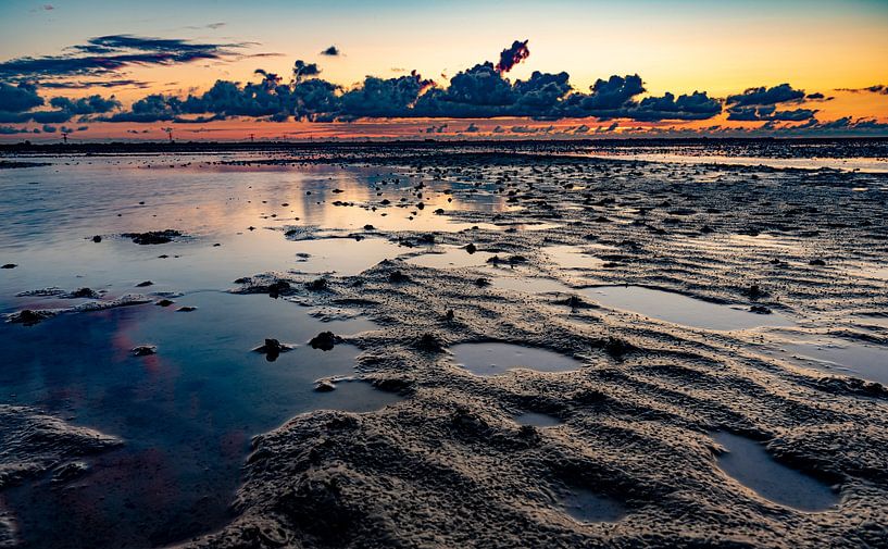Lorsque l'eau se retire par Ria Overbeeke