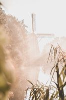 Die Riekermolen im Nebel