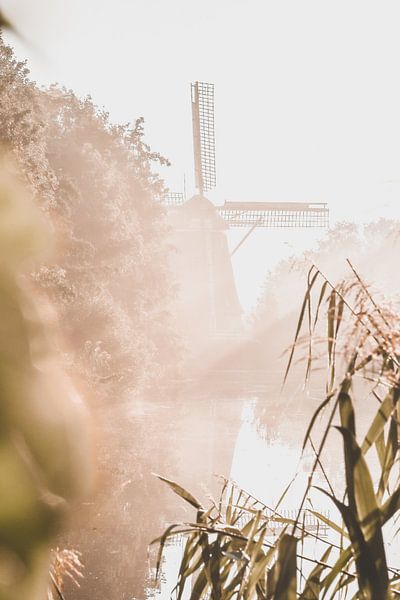 Le Riekermolen dans la brume par Frederike Heuvel
