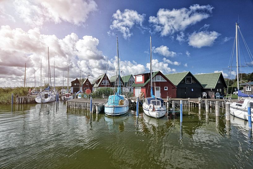 In the harbour of Althagen near Ahrenshoop by Stefan Dinse