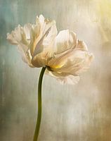 Delicate flower in soft colours