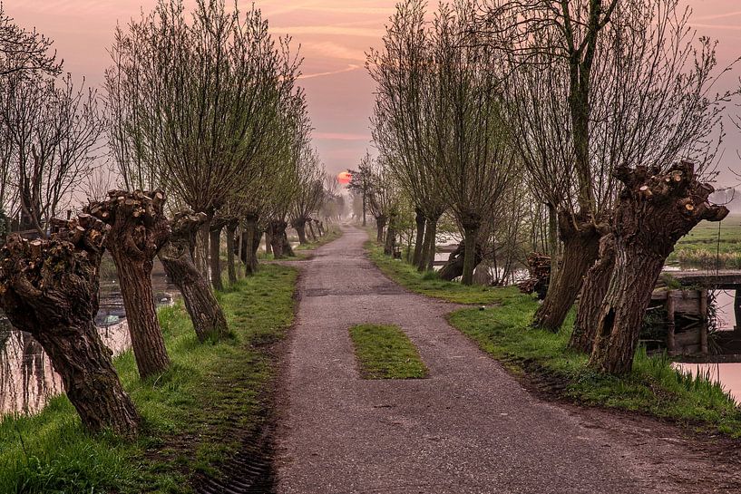 Sunrise in Bergambacht by Rob Boon