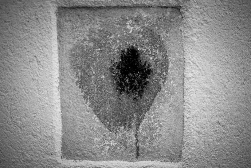 France Bleeding Heart by Albert Hartwig