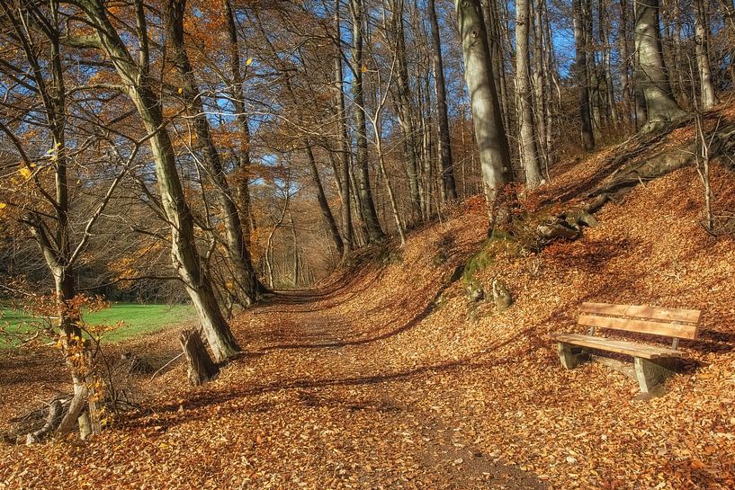 Herbst im berühmten Neandertal von Peter Eckert